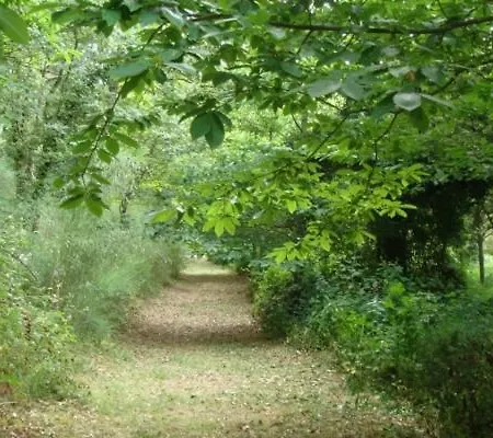 Finca A Coutada. *