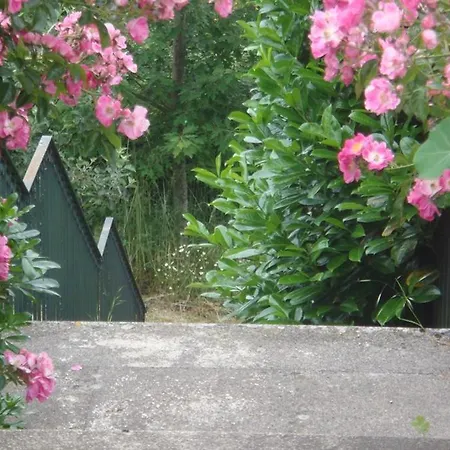 Finca A Coutada. 别墅