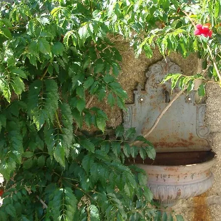 Villa Finca A Coutada. *