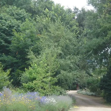 Finca A Coutada. 别墅 *