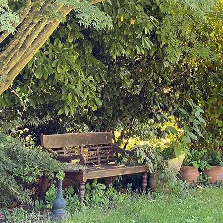Finca A Coutada. * Celanova