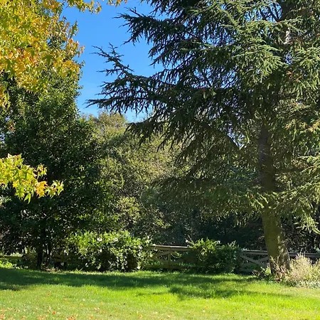 Finca A Coutada. Villa