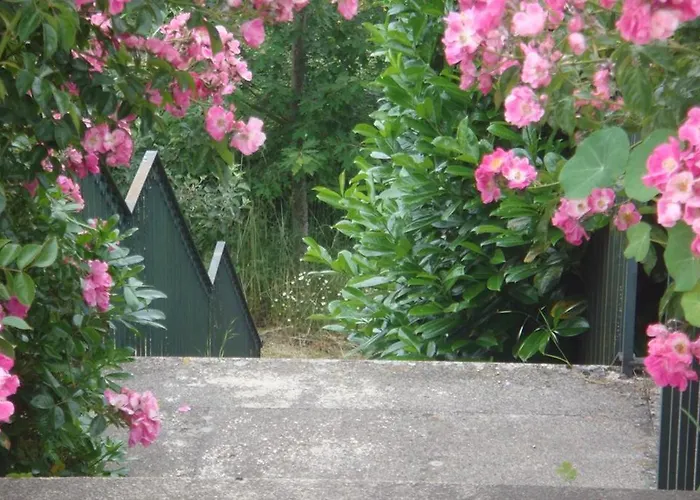 Finca A Coutada. Villa