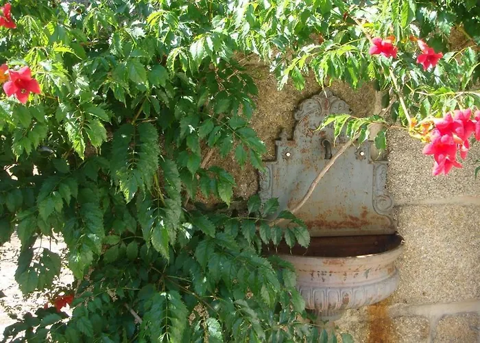 Villa Finca A Coutada. *