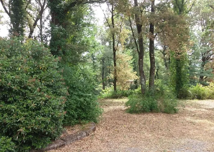 Villa Finca A Coutada. *