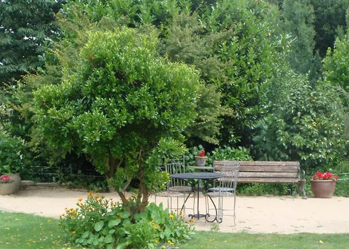 Finca A Coutada. Villa Celanova